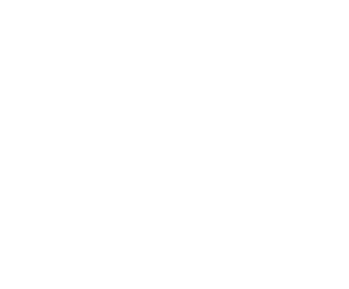 organic coco soul logo